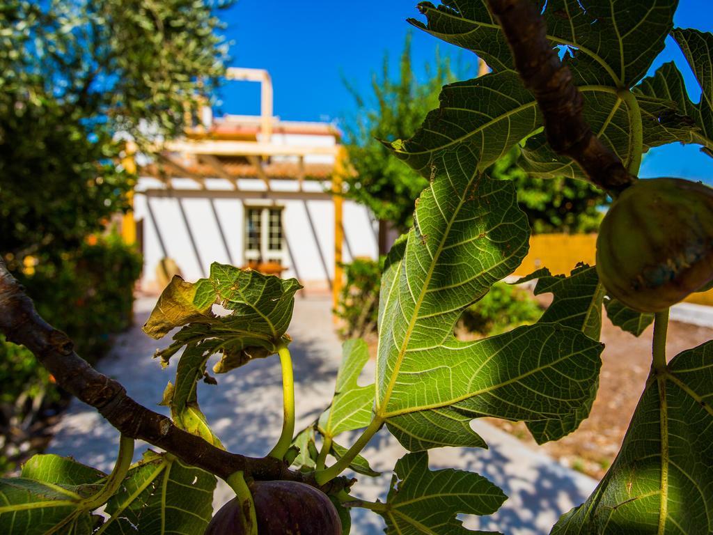 Casa Dei Carrubi